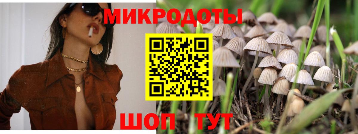 Чусовой  Галлюциногенные грибы MAGIC MUSHROOMS  Вход с VPN 